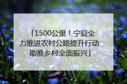 1500公里！宁夏全力推进农村公路提升行动 助推乡村全面振兴