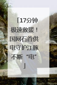 17分钟极速救援！国网石首供电守护江豚不断“电”