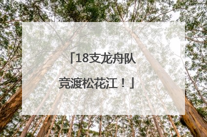 18支龙舟队竞渡松花江！