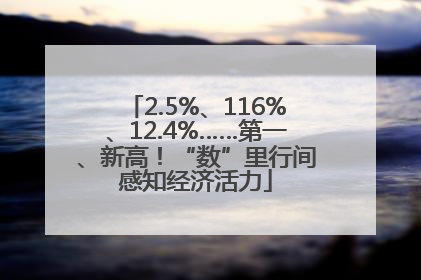 2.5%、116%、12.4%……第一、新高！“数”里行间感知经济活力