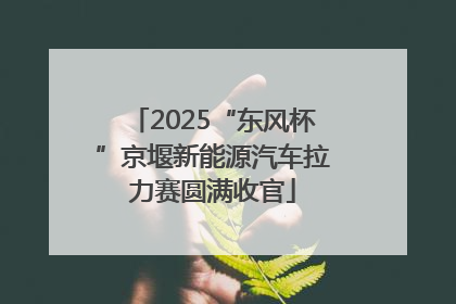 2025“东风杯”京堰新能源汽车拉力赛圆满收官