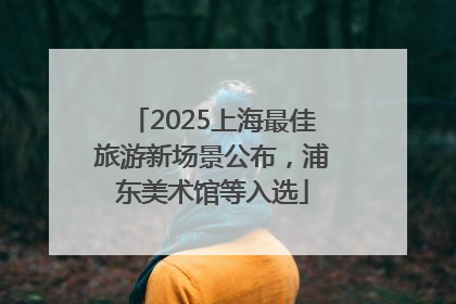 2025上海最佳旅游新场景公布，浦东美术馆等入选