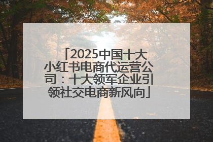 2025中国十大小红书电商代运营公司：十大领军企业引领社交电商新风向