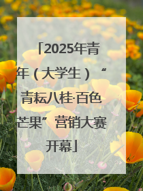 2025年青年（大学生）“青耘八桂·百色芒果”营销大赛开幕