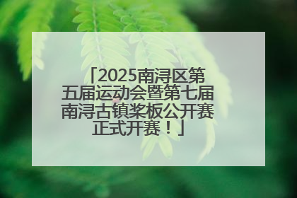 2025南浔区第五届运动会暨第七届南浔古镇桨板公开赛正式开赛！