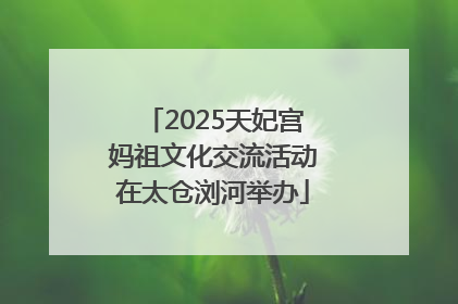 2025天妃宫妈祖文化交流活动在太仓浏河举办