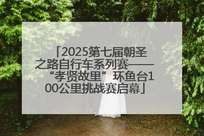 2025第七届朝圣之路自行车系列赛——“孝贤故里”环鱼台100公里挑战赛启幕
