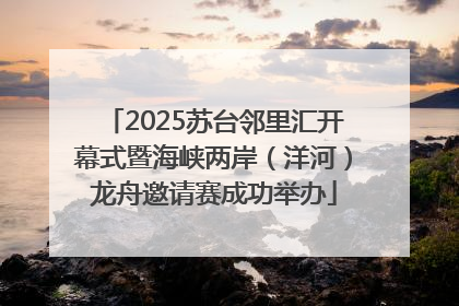 2025苏台邻里汇开幕式暨海峡两岸（洋河）龙舟邀请赛成功举办