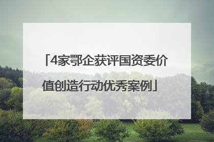 4家鄂企获评国资委价值创造行动优秀案例