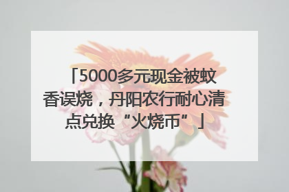 5000多元现金被蚊香误烧，丹阳农行耐心清点兑换“火烧币”