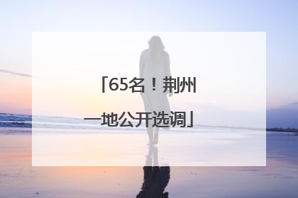 65名！荆州一地公开选调