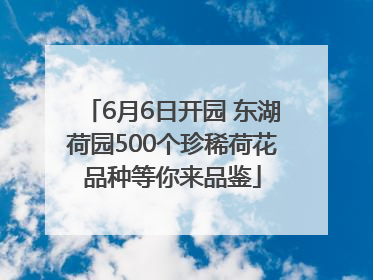 6月6日开园 东湖荷园500个珍稀荷花品种等你来品鉴