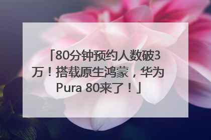 80分钟预约人数破3万！搭载原生鸿蒙，华为Pura 80来了！