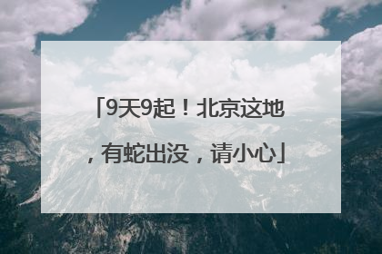 9天9起！北京这地，有蛇出没，请小心
