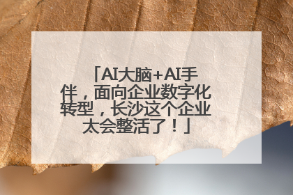 AI大脑+AI手伴，面向企业数字化转型，长沙这个企业太会整活了！