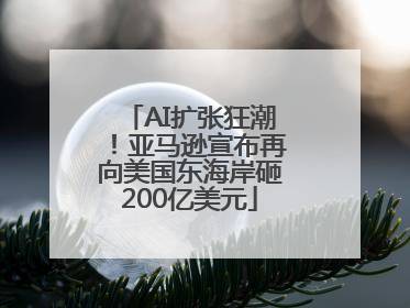 AI扩张狂潮！亚马逊宣布再向美国东海岸砸200亿美元